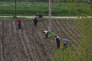 Photo ParisPekin-Roumanie04.jpg