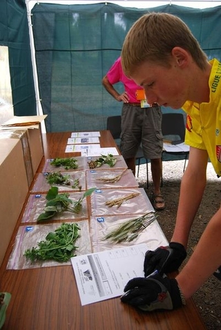 Photo snej2009_7_16.jpg