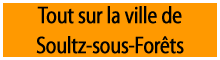 Tout sur la ville de Soultz Sous For�ts
