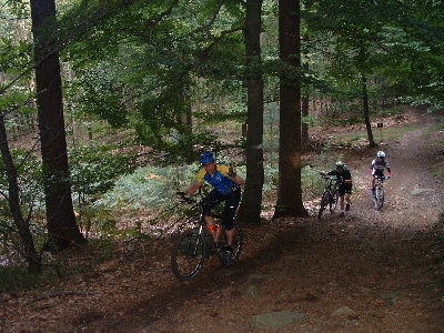 Photo RandoSoultz2010-019.JPG