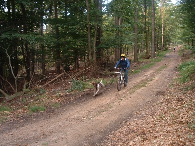 Photo RandoSoultz2010-029.JPG