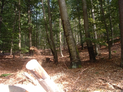 Photo RandoSoultz2010-038.JPG