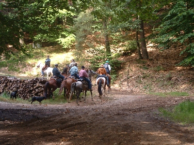 Photo RandoSoultz2010-039.JPG