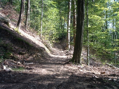 Photo RandoSoultz2010-049.JPG