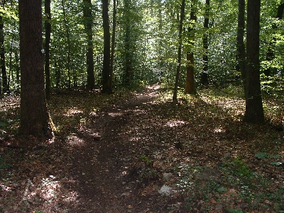 Photo RandoSoultz2010-062.JPG