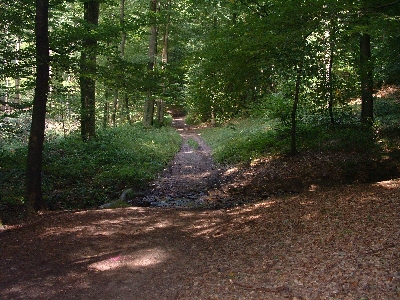 Photo RandoSoultz2010-077.JPG