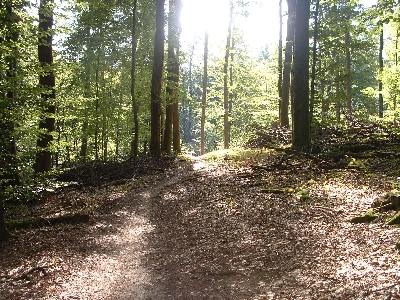 Photo RandoSoultz2010-082.JPG