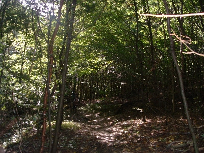 Photo RandoSoultz2010-084.JPG