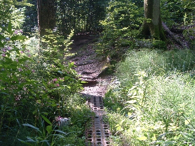 Photo RandoSoultz2010-094.JPG