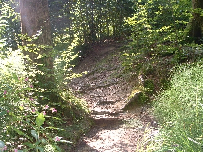 Photo RandoSoultz2010-095.JPG