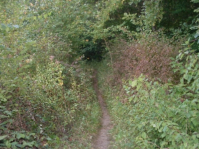Photo RandoSoultz2010-175.JPG