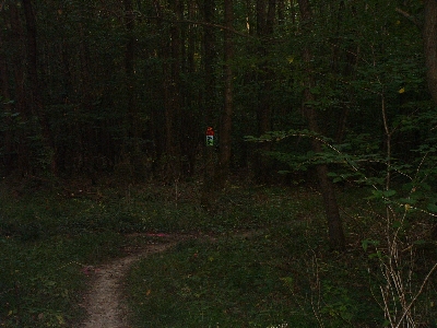 Photo RandoSoultz2010-176.JPG