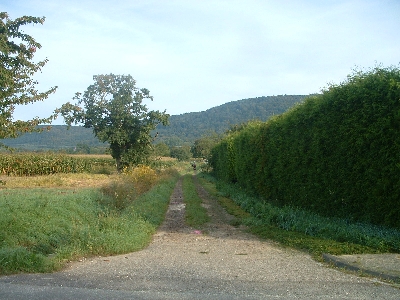 Photo RandoSoultz2010-180.JPG