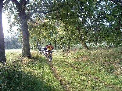 Photo RandoSoultz2010-189.JPG