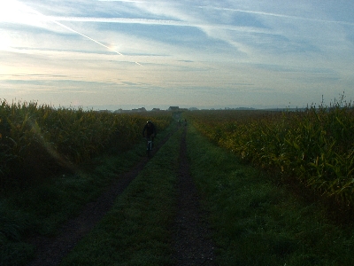 Photo RandoSoultz2010-196.JPG