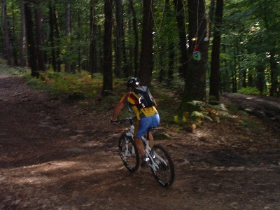 Photo RandoSoultz2010-226.JPG